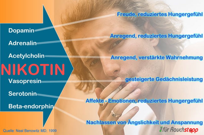 Wirkung des Nikotins - owi Praxis für Veränderungscoaching - Raucherentwöhnung