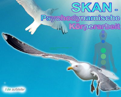 SKAN, die psychodynamische Körperarbeit als Unterstützung der Systemischen Aufstellung und des Coachings - Praxis für Veränderungscoaching und Raucherentwöhnung - www.ch-rauchstop.ch SKAN - Psychodynamische Körperarbeit als Unterstützung der Systemischen Aufstellung und des Coaching - Praxis für Veränderungscoaching und Raucherentwöhnung - www.ch-rauchstop.ch